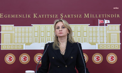 Bağımsız İzmir Milletvekili Ösen, sanayicilerin e-ithalattaki mağduriyetlerini TBMM gündemine taşıdı 