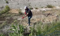 Balıkesir Ovası Sulama Tesisi yeni sezona hazırlandı