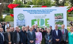 Beykoz Belediyesi’nden çiftçiye 1 milyon 50 bin adet yazlık fide 