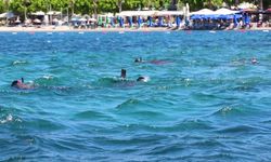 Bodrum Belediyesi'nin geleneksel deniz dibi temizliği, bu yıl Kumbahçe sahilinden başladı