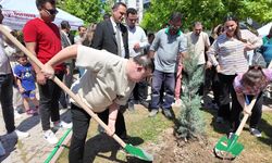 Bornova’da Engelliler Haftası'na özel fidanlar ekildi  