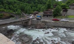 Çamlıca HES Projesi'nin ''ÇED olumlu'' kararının iptali istemiyle açılan davada, bilirkişi incelemesi yapıldı
