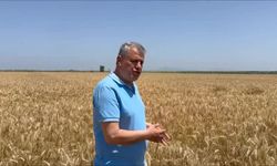 CHP Adana Milletvekili Barut'tan iktidara: "Buğdayın kilo maliyeti 16-17 lira. Alım fiyatı en az 20 lira olmalı"