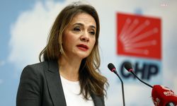 CHP'li Akkuş İlgezdi: "18 yaşından küçük çocukların gebelik durumunun cinsel istismar boyutuyla değerlendirilmesi gerekiyor"
