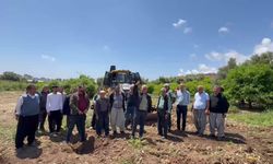 CHP'li Çakır, Mersin Davultepe'de 25 yıllık narenciye ağaçlarının kesilmesine tepki gösterdi
