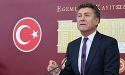 CHP'li Sarıbal: "Saray iktidarı hayvancılığı bitirmeye yeminli. 12 milyar dolar ödendi, yetmedi"