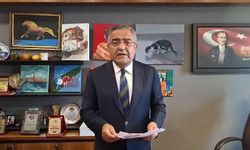 CHP’li Tanrıkulu’ndan THY’ye kampanya tepkisi: “Diyarbakır ve Batman neden kampanya dışında”