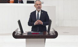 CHP’li Uzun'dan Bakan Memişoğlu'na: “Muğla Eğitim Araştırma Hastanesi'nde görülen tahtakurusu sorunu nedeniyle hangi sağlık hizmetleri aksamaktadır?"