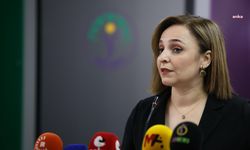 DEM Partili Doğan'dan Bakan Tunç'a: "Üslubunuz bu süreçte ihtiyacımız olan yapıcı dilden uzak, ne yazık ki zehirleyici bir etki yaratıyor"