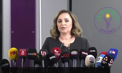 DEM Partili Doğan'dan Sırrı Süreyya Önder'e suikast girişimiyle ilgili soruya yanıt: "Kimler var, ne hedeflendi tartışması, asıl tartışmamız gereken konuları gölgeler"