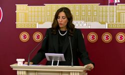 DEVA Partili Rızvanoğlu'ndan iktidara yangın uçağı tepkisi: Halkın vergileriyle alınmış bir kapasite bilinçli olarak devre dışı bırakılıyor