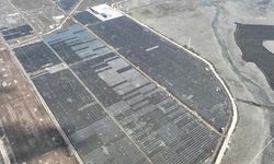 Eksim Enerji, Viranşehir GES ile 170 bin haneye temiz enerji sağlayacak