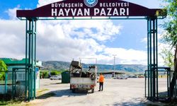 Eskişehir'de hayvan pazarı için yer satışları başlıyor