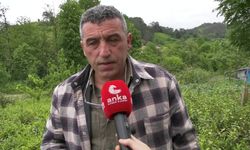 Fındıklı Ziraat Odası Başkanı Özsoy, yaş çay alımında çiftçiye 5 lira destekleme ücreti ödenmesini istedi