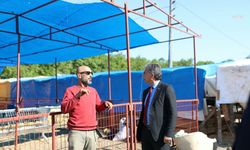 Gemlik Belediyesi'nin kurban pazarında satışlar başladı