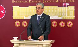 Gökhan Günaydın: Lozan, 85 milyonun demokratik haklarının sınırını çizmektedir 