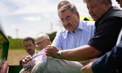 Gölbaşı Belediyesi'nden tarıma destek... Karabuğday ekimi başladı