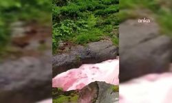 Güneysu'da rengi kırmızıya dönen dere bölge halkını endişelendirdi