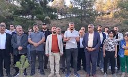Hatay’ın Serinyol ilçesinde TOKİ köy evleri projesi için Yıldırım mesire alanında ağaç kesimine bölge halkından tepki 