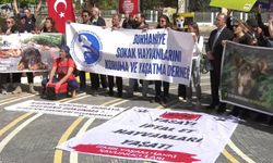 Hayvan hakları savunucuları AYM’nin önünde… DEM Partili Akın: “Türkiye'nin her tarafından hayvanlara dönük katliam girişimlerinin acısını yaşıyoruz”