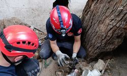 İzmir İtfaiyesi havalandırma bacasına sıkışan kediyi kurtardı