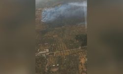 İzmir'in Bayındır ilçesinde çıkan yangın kontrol altına alındı 