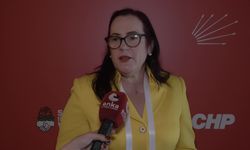 Kadın Sosyalist Enternasyonal Başkanı Janet Camilo, ANKA’ya konuştu: "Türkiye'nin İstanbul Sözleşmesi'nden çekilmesi çok sıkıcı bir durum"