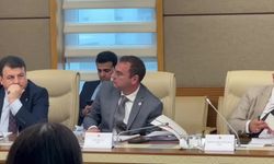 Kartalkaya'daki Otel Yangınını Araştırma Komisyonu'nda vefat sayılarının AK Parti kongresinin tamamlanmasının ardından açıklandığına ilişkin tartışma