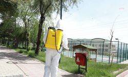 Keçiören’de ilaçlama çalışmaları hız kazandı
