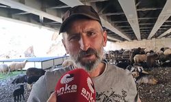 Kemalpaşalı besici: “Hayvancılık dede mesleğimizdi, ancak artık sürdüremez hale geldik"
