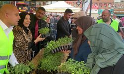  Kırıkkale Belediyesi, 200 bin fideyi üreticiyle buluşturdu