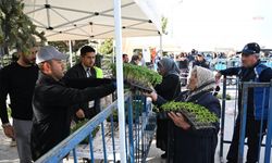 Kırşehir'de ücretsiz fide dağıtımı başladı