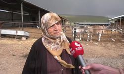 Konya’da 74 yaşında çiftçilik yapan Emine Küçükoğlu: Yem borcunu emekli maaşıyla kapatıyorum