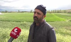 Konyalı çiftçi girdi üretim maliyetlerine isyan etti: "Her geçen yıl bir önceki yılı arar duruma geldik. Eşimizden bilezik bozduruyoruz"