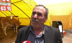 Kurban Bayramı hazırlıkları başladı... Besiciler, kurbanlıklara talebin az olmasından ve maliyetlerden şikayetçi