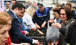 Lüleburgaz Belediyesi'nden vatandaşa 20 bin fide 
