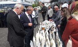 Çiftçilere 1 milyon 850 bin sebze fidesi dağıtıldı