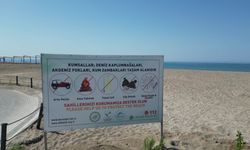 Manavgat Belediye Başkanı Kara, deniz kaplumbağaları koruma çalışmalarını inceledi