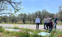 Manisa Büyükşehir Belediyesi’nin “Öveçli Projesi” ile 2 bin 500 dekar arazi suya kavuşacak