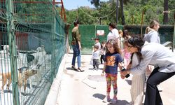 Marmaris Belediyesi Geçici Hayvan Bakımevi, minik ziyaretçileri ağırladı 