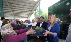 Merkezefendi Belediyesi'nden üreticilere fide desteği 