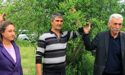 Muğla Büyükşehir Belediyesi’nden zirai dondan zarar gören üreticiye destek
