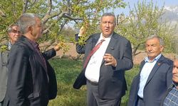 Ömer Fethi Gürer: "Zirai don bahçeleri vurdu, geçti" 