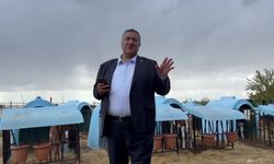Ömer Fethi Gürer'den iktidarın tarım politikalarına tepki: "Üreticimiz borç batağında, hayvanları icra yoluyla satılıyor"