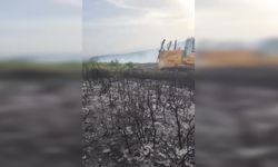 Orman Genel Müdürlüğü: İzmir Foça'da kırsal alanda başlayan orman yangını kontrol altına alındı