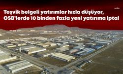 OSB’lerde yatırım ruhsatlı 10 binden fazla parsele iptal... Yatırımcı frene bastı, sanayi kontak kapattı, gerçek işsizlik yüzde 32’ye çıktı