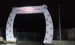 Osmaniye'de yapımı devam eden 'geçici köpek barınağı' sular içerisinde kaldı