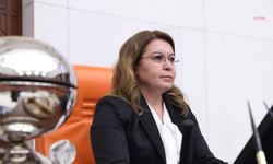 Özgür Özel'e fiziksel saldırı... Gülizar Biçer Karaca: "Bu tür provokasyonların, ülkemizin demokrasi ve hukuk mücadelesine gölge düşürmesine asla izin vermeyeceğiz"