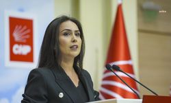 Özgür Özel'e fiziksel saldırı... Pınar Uzun Akakın: "İktidarın sırtını sıvazladığı şiddet ve şiddet faillerinin yıllar boyunca ısrarla korunarak olumlanması, bu alçaklığın cesaret bulmasına yol açtı"