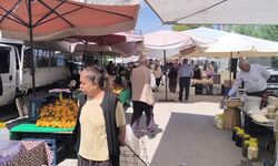 Pazar esnafı: "Limonun fiyatı daha da artar çünkü soğuk vurdu hepsini, don vurdu"